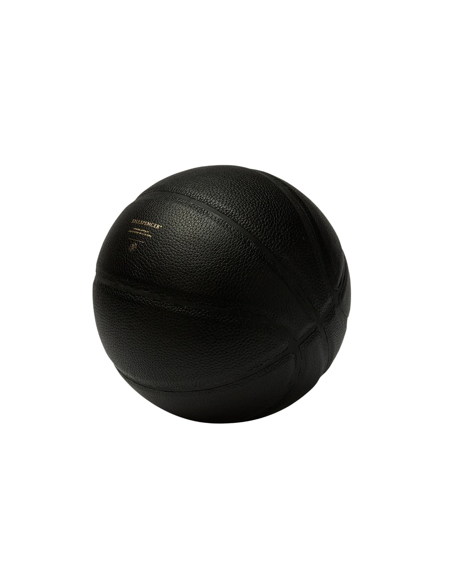 Indoor Mini Basketball